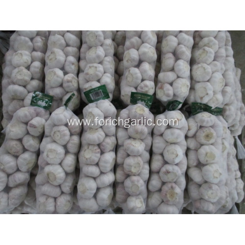 Low Price Crop 2020 Normal Garlic